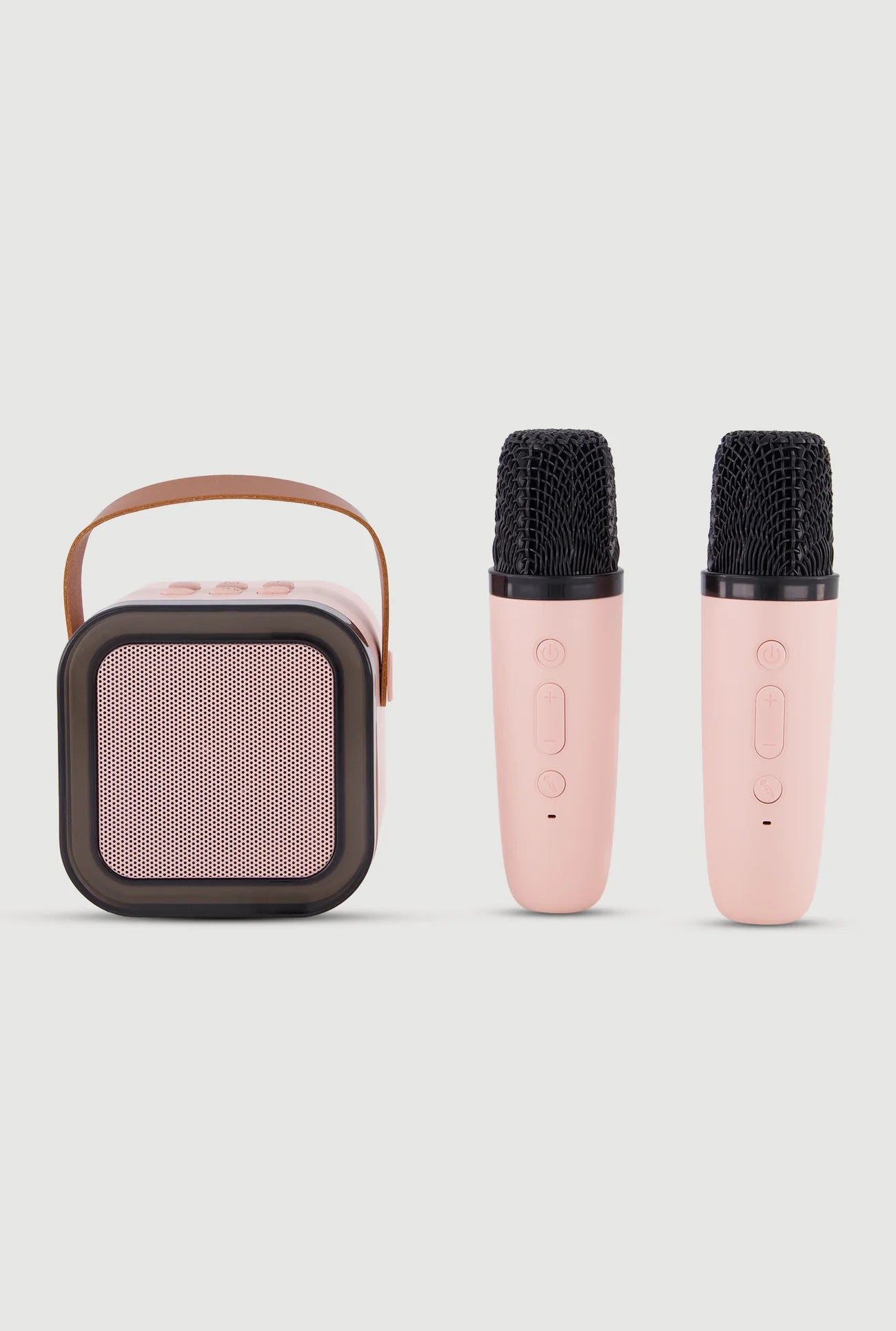 Portable speaker and two microphones on a light gray background